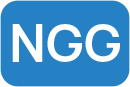  NGG 