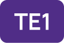  TE1 