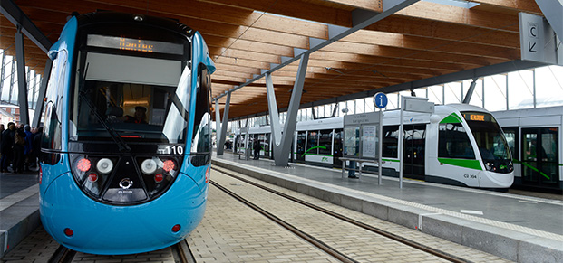 tram train.jpg